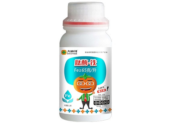 肽酶铁