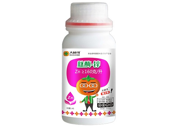 肽酶锌
