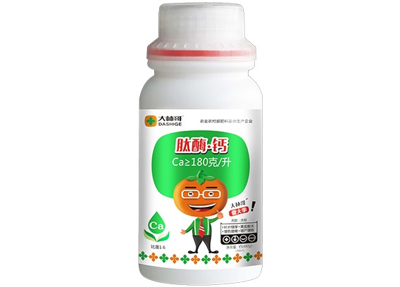 肽酶钙